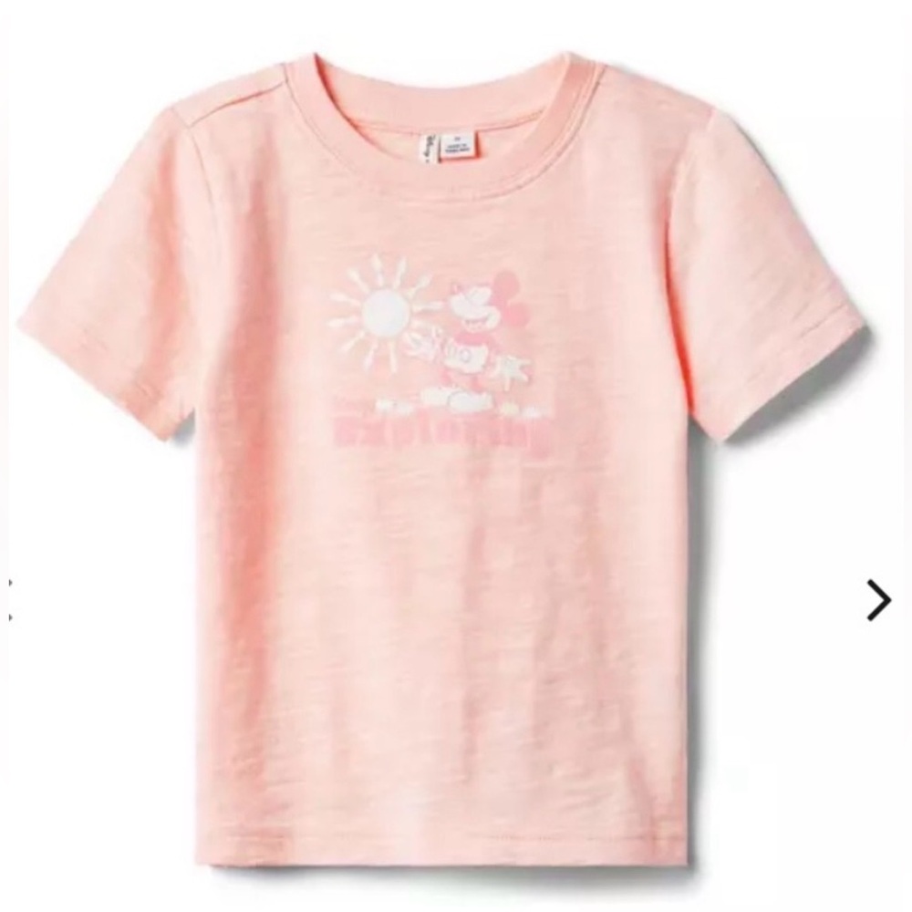 NWT- Janie and Jack Mickey T-Shirt and Floral Shorts Set - Picture 6 of 6